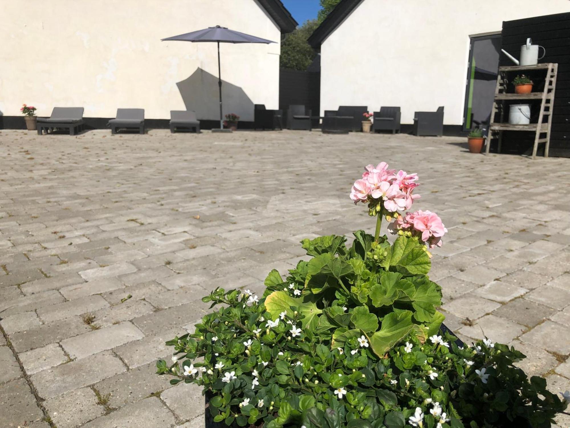 The Barn Guest House Give Bagian luar foto
